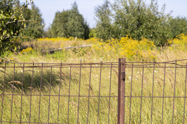 Similar image 21723547