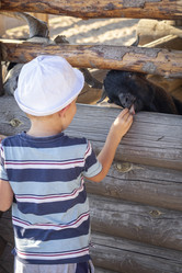 Similar image 21723548