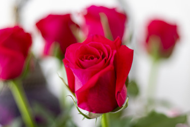 Similar image 21723553