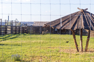 Similar image 21723557