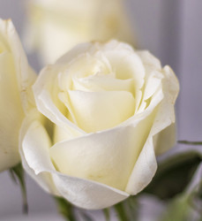 Similar image 21747679