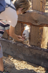 Similar image 21747681