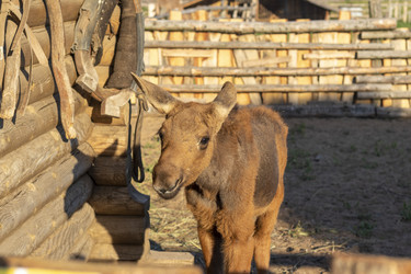 Similar image 21722663