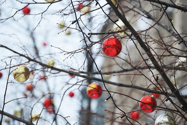 Similar image 21722301