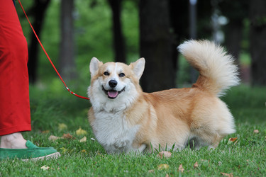 Similar image 21722324