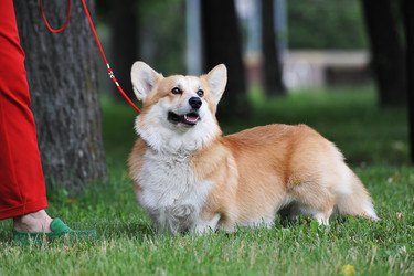 Similar image 21722326