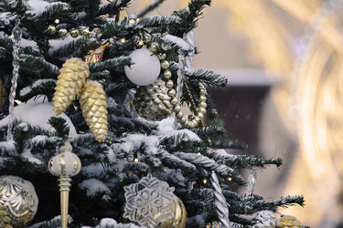 Similar image 21722352