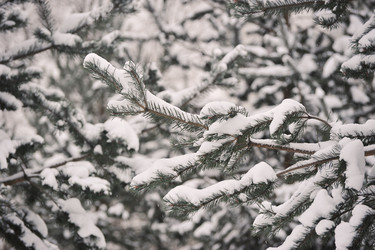 Similar image 21722367