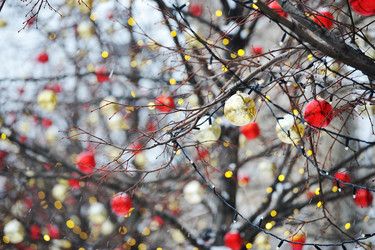 Similar image 21722370