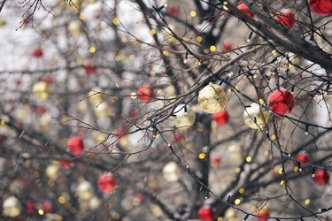 Similar image 21722371