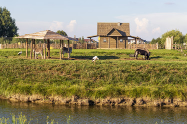 Similar image 21723382