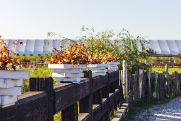 Similar image 21723386