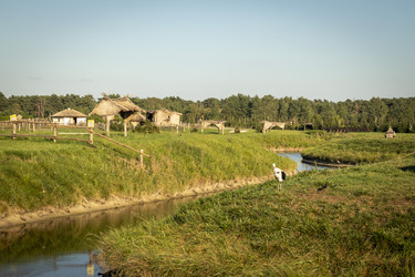 Similar image 21723392