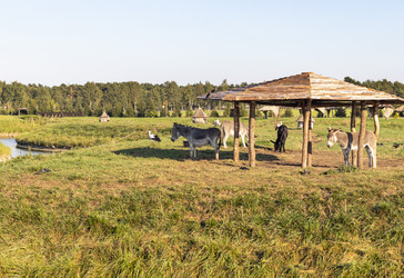 Similar image 21723560