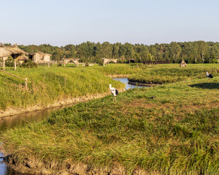 Similar image 21723562