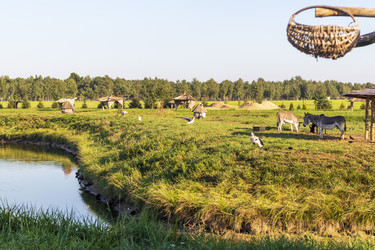 Similar image 21723566