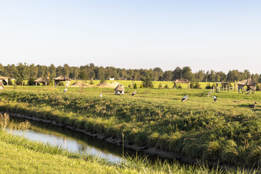 Similar image 21723568