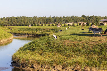 Similar image 21723570