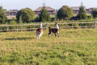 Similar image 21723575