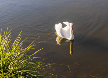 Similar image 21723579