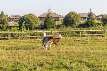 Similar image 21723585