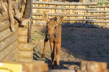 Similar image 21722891