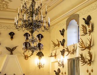 Similar image 21722983