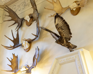 Similar image 21722986