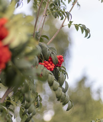 Similar image 21722990