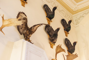 Similar image 21722991