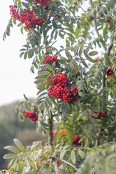 Similar image 21722993