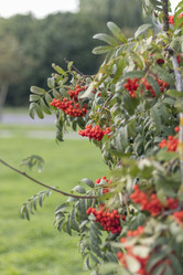 Similar image 21722995