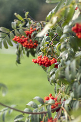 Similar image 21723395