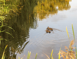 Similar image 21723408