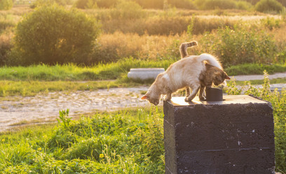 Similar image 21723411