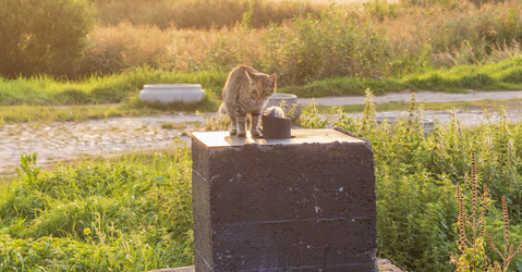 Similar image 21723417