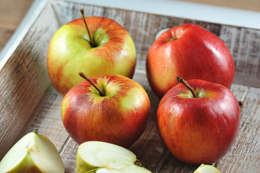 Similar image 21747494