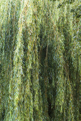 Similar image 21747691