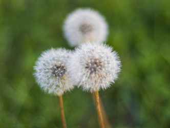 Similar image 21747941