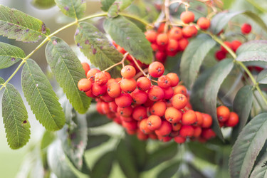 Similar image 21747946