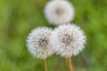 Similar image 21747948