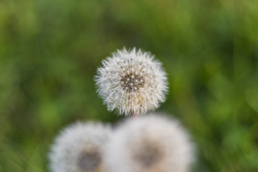 Similar image 21722684