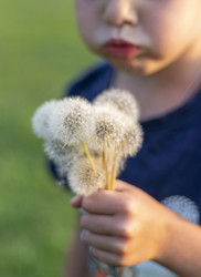 Similar image 21722686