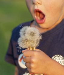 Similar image 21722689