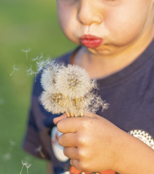 Similar image 21722692