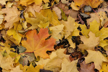 Similar image 21747313