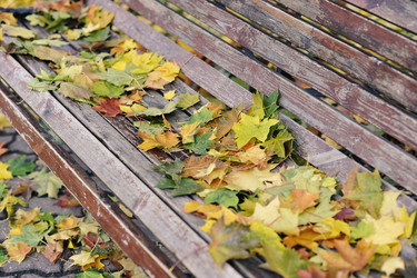 Similar image 21747319