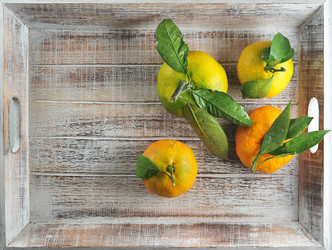 Similar image 21747329