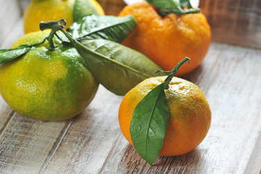 Similar image 21747331