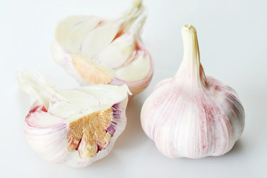 Similar image 21747337